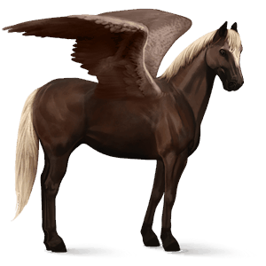 sportpegazus pej tobiano