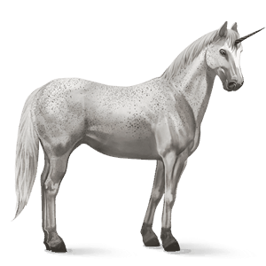 sportunikornis gypsy vanner pej