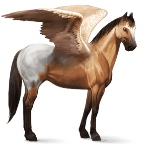 sportpegazus tennessee walker sötét pej