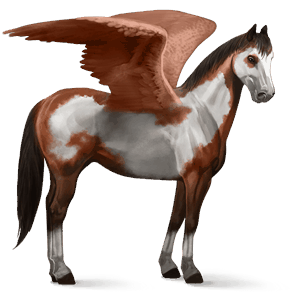 sportpegazus shagya arabian világos szürke
