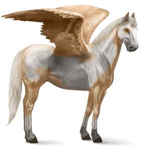 sportpegazus amerikai foltos palomino overo
