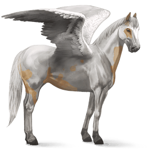 sportpegazus amerikai foltos palomino tovero