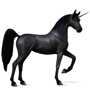sportunikornis shagya arabian fekete