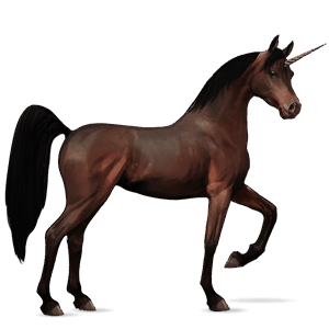 sportunikornis shagya arabian pej