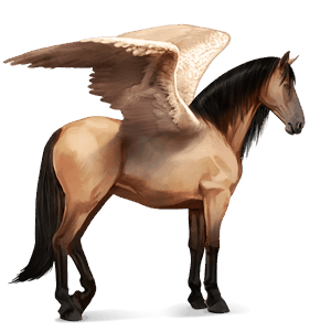 sportpegazus gypsy vanner deres