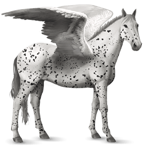sportpegazus holstein máj-sárga 