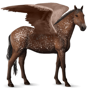 sportpegazus appaloosa pej hósármány