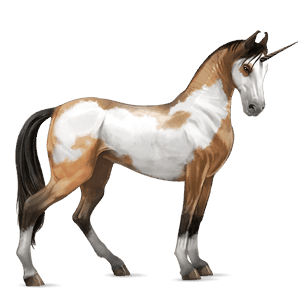 sportunikornis shagya arabian pej