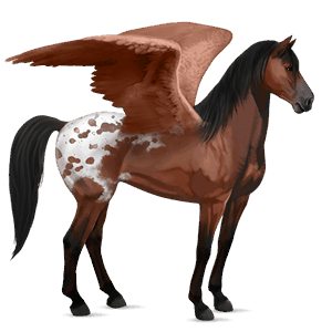sportpegazus gypsy vanner palomino tobiano