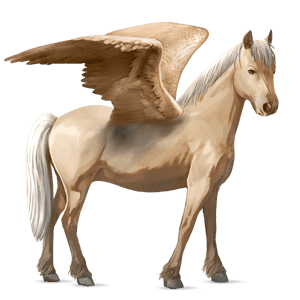 pegazus póni kerry bog palomino tobiano