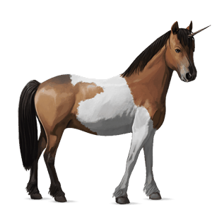 unikornis póni belga riding póni cremello