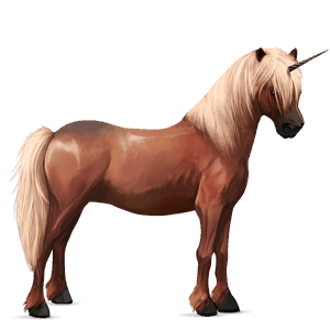 sportunikornis gypsy vanner aranysárga