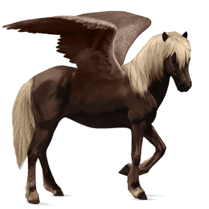 sportpegazus gypsy vanner tobiano fekete tarka