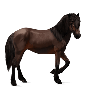 sportló tennessee walker világos szürke
