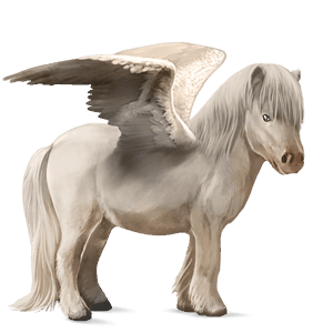 pegazus póni shetland cremello