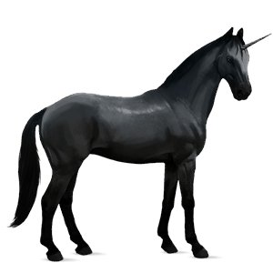 sportunikornis tennessee walker fekete