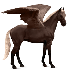 sportpegazus gypsy vanner világos máj-sárga