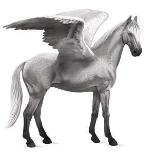 sportpegazus tennessee walker világos szürke
