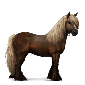 sportló gypsy vanner tobiano fekete tarka