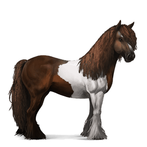 sportló tennessee walker fekete