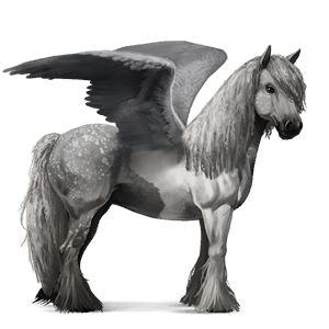 sportpegazus gypsy vanner sötét pej tobiano