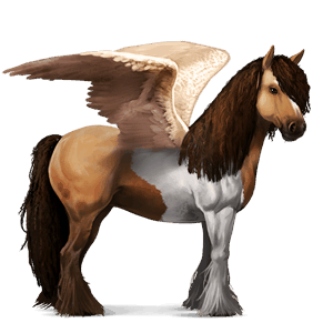sportpegazus gypsy vanner egérszürke