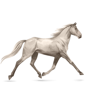 sportló camargue-i ló szeplős szürke