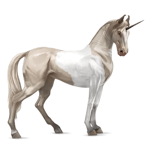 sportunikornis cremello tobiano