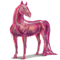 sportpegazus paca