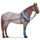 póni síkság
