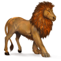 vadló afrikai oroszlán