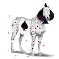 sportló tennessee walker fekete