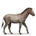 Őskori ló hippidion