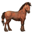 igásló percheron világos szürke