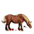 sportló tennessee walker máj-sárga 