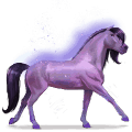 szivárvány ló brave purple