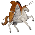 sportló német saddle ló szeplős szürke