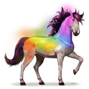 szivárvány ló secret rainbow