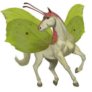 igásló drum ló pej