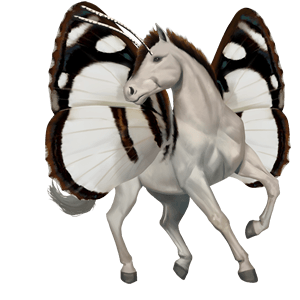 sportló shagya arabian egérszürke