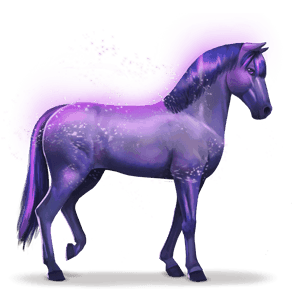 szivárvány ló devoted indigo