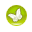 papillons_v1713961017.png