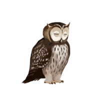 compagnon-hibou-off.png